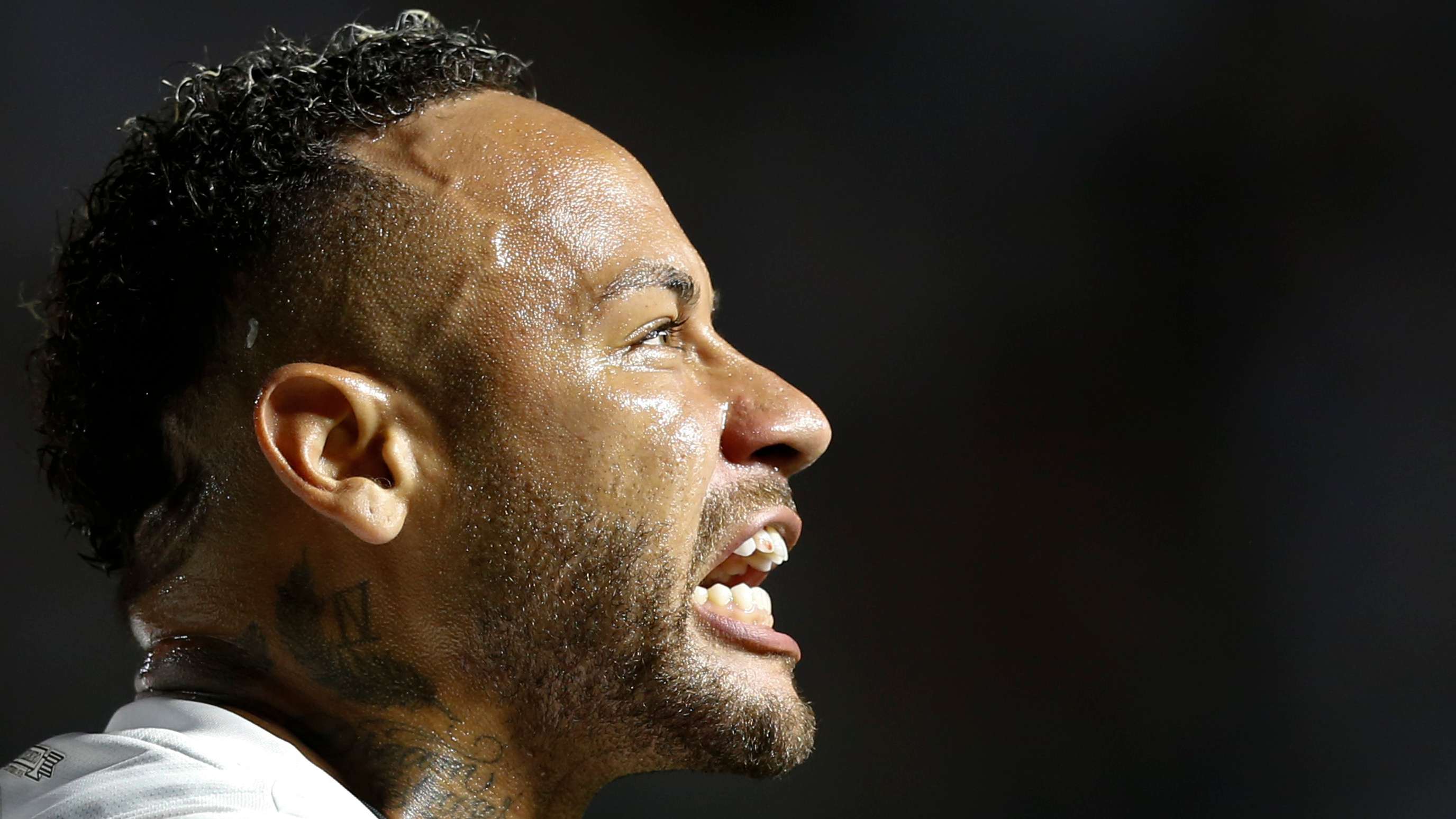 在金秋送爽 在金秋送爽