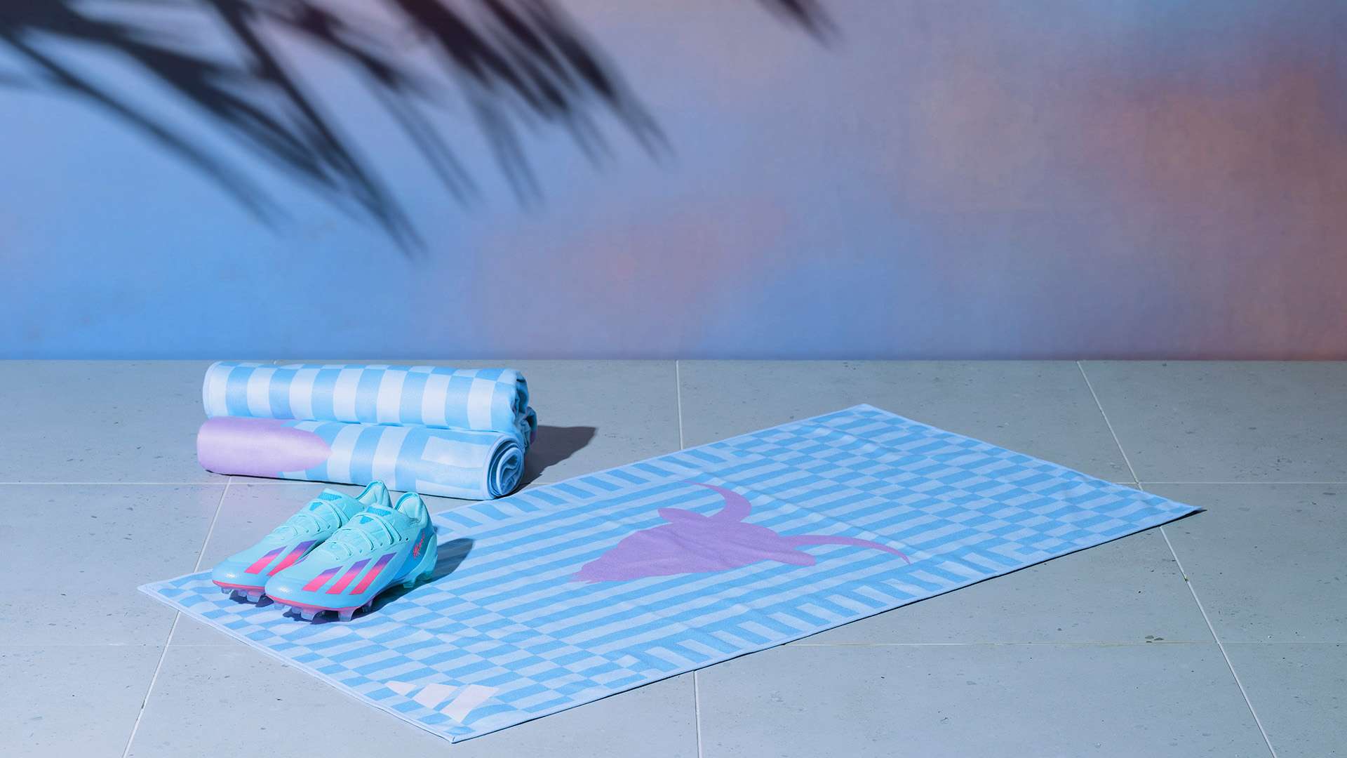 也表明他对 也表明他对